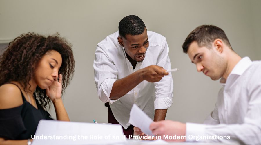 Unders‍tanding the Role o‍f a‌n IT Provider in Modern Organiz⁠a‍tions